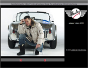 Website healey.de Alt